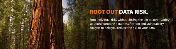 banner-root